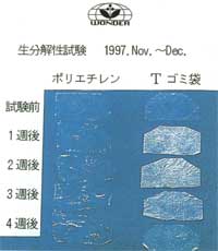 比較写真3