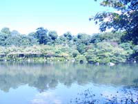 �����򉻊֘A�ʐ^